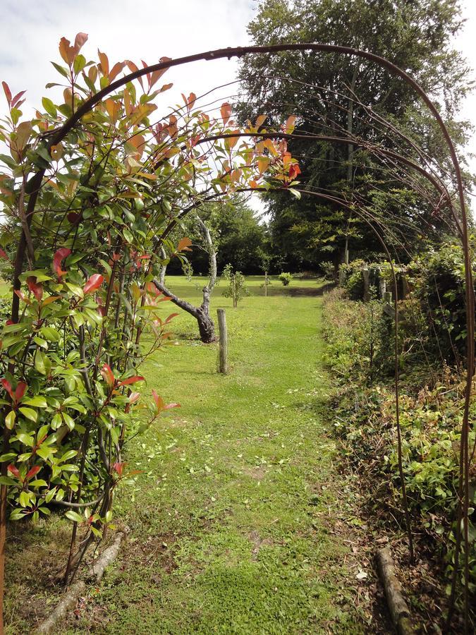 Glendine House Kilkenny Bed & Breakfast ภายนอก รูปภาพ